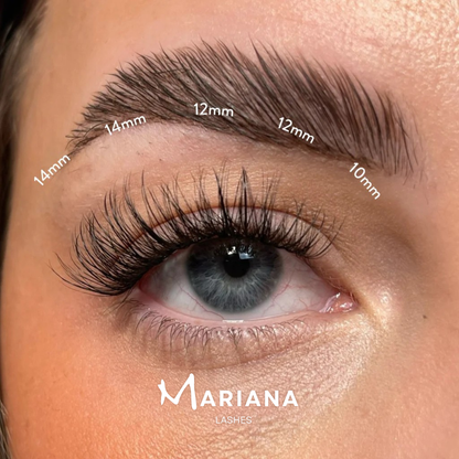 Mariana's flutter Look